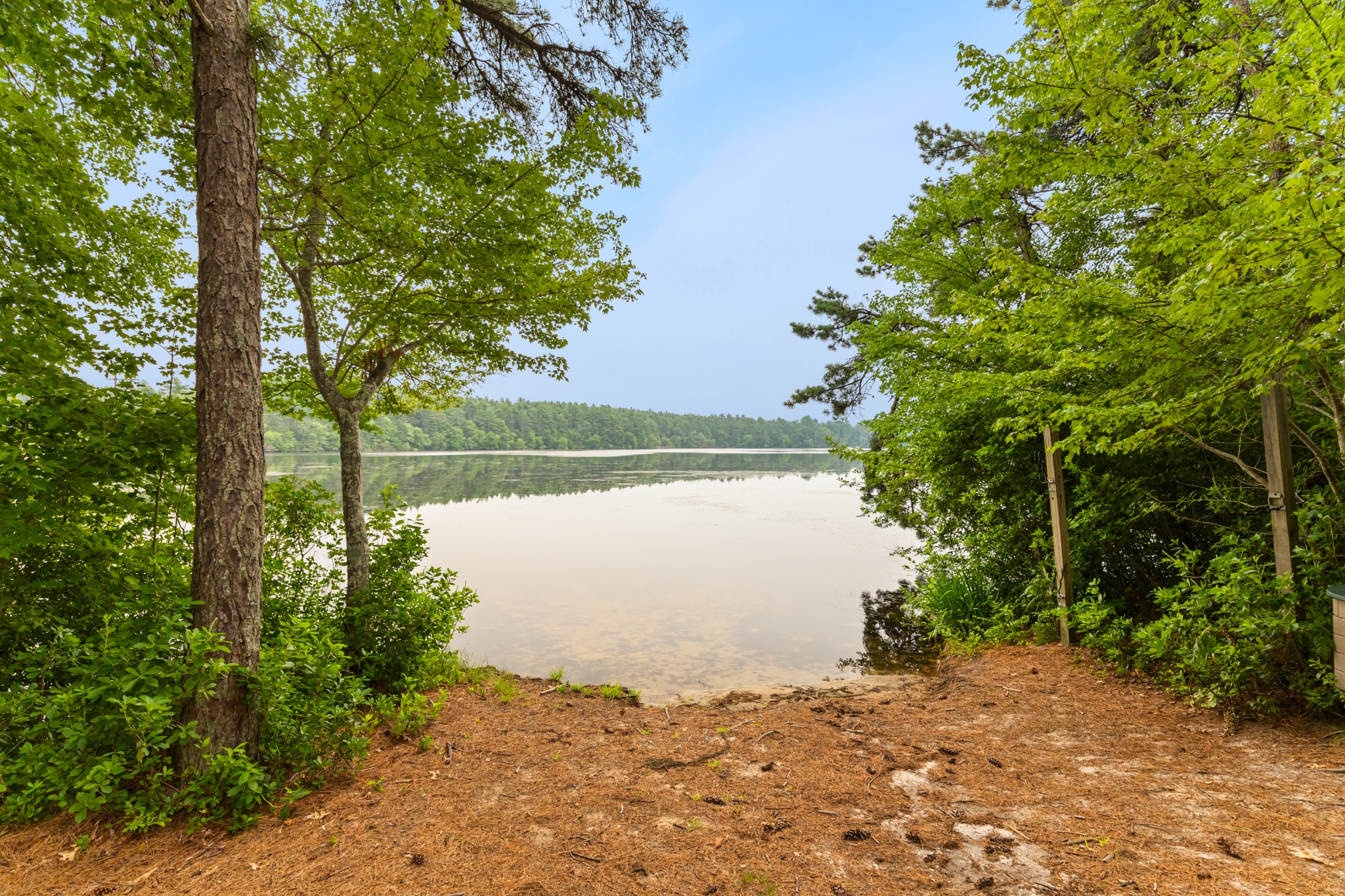 Tihonet Pond shoreline reached from the backyard